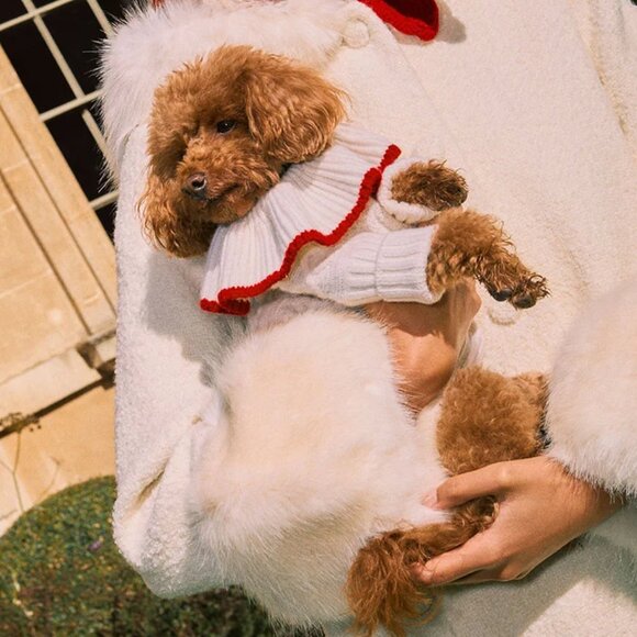 Reformation X Shrimps Chip Regenerative Wool Dog Sweater - Picture 3 of 9